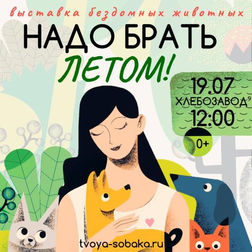 Выставка бездомных животных #НадоБратьЛетом2026